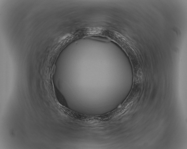 X0000115091441200911101514