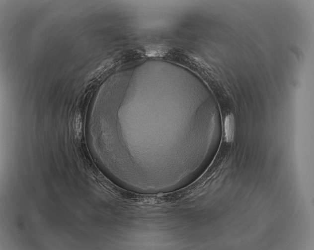 X0000115091443200911101514