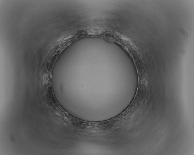 X0000115091445200911101514