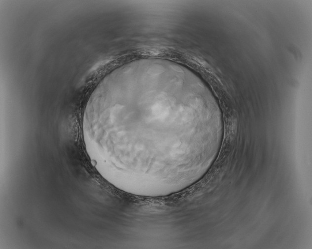 X0000115091446200911101514