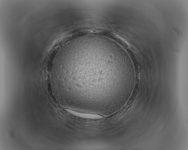 X0000115091447200911101514