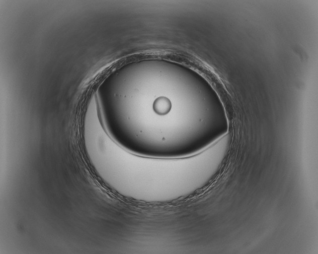X0000115091448200911101514