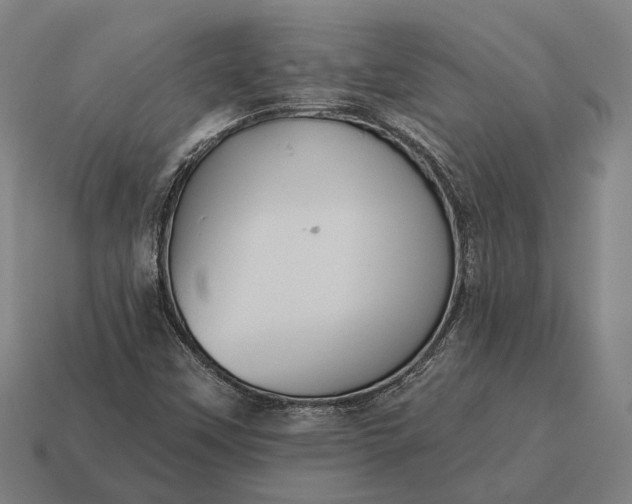 X0000115091451200911101513
