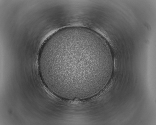X0000115091452200911101513