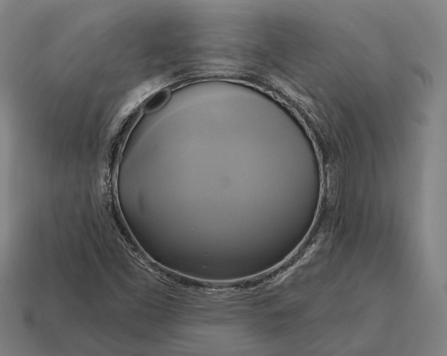 X0000115091453200911101513