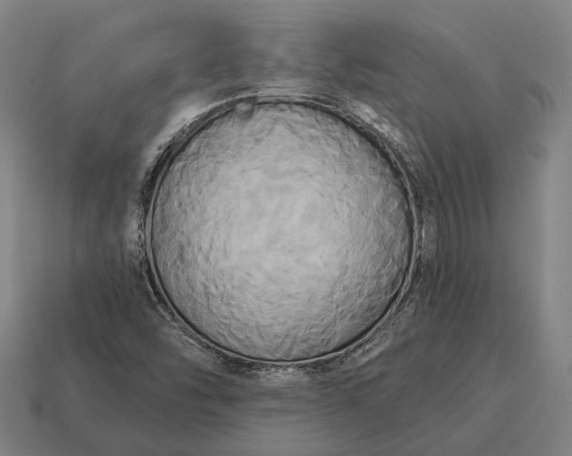 X0000115091454200911101513