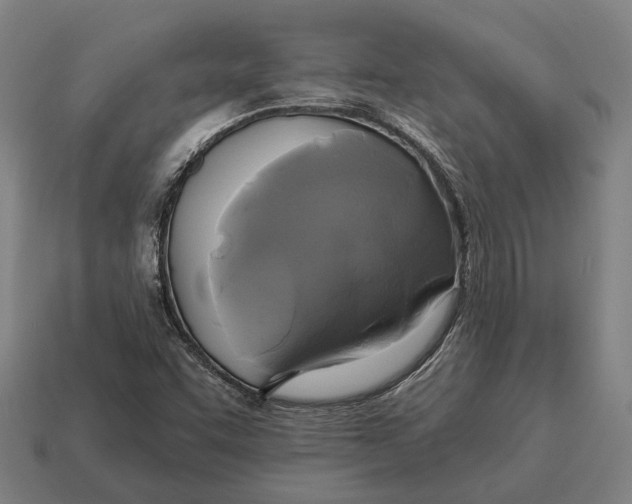X0000115091455200911101513