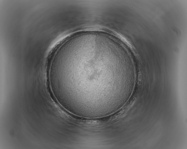 X0000115091456200911101513