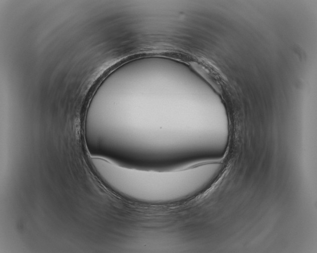 X0000115091457200911101513