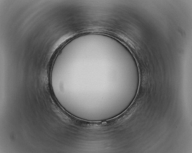 X0000115091458200911101513