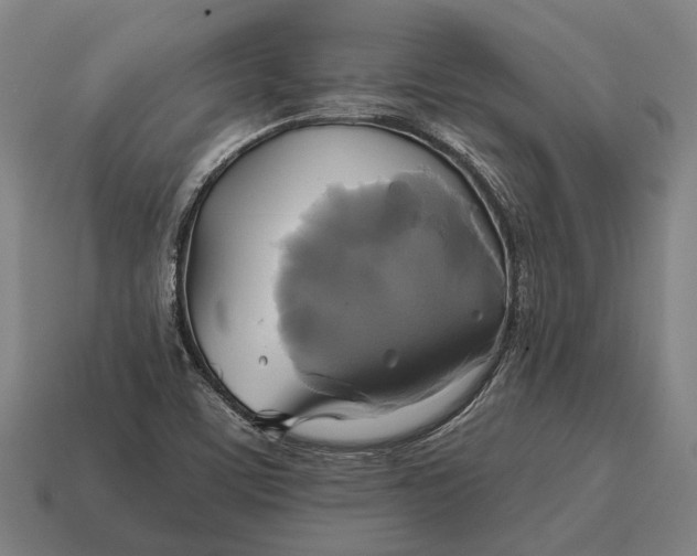X0000115091459200911101513