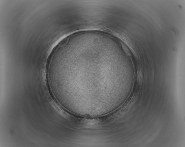 X0000115091460200911101513