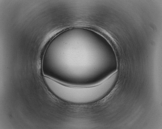 X0000115091461200911101513