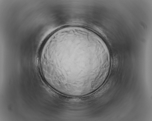 X0000115091462200911101513