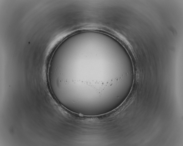 X0000115091464200911101513