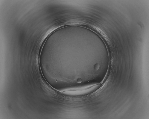 X0000115091465200911101513