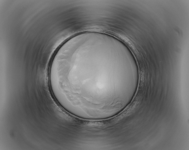 X0000115091466200911101513