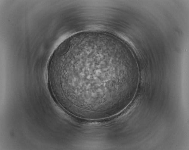X0000115091467200911101513