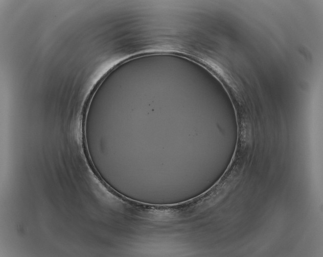 X0000115091468200911101513