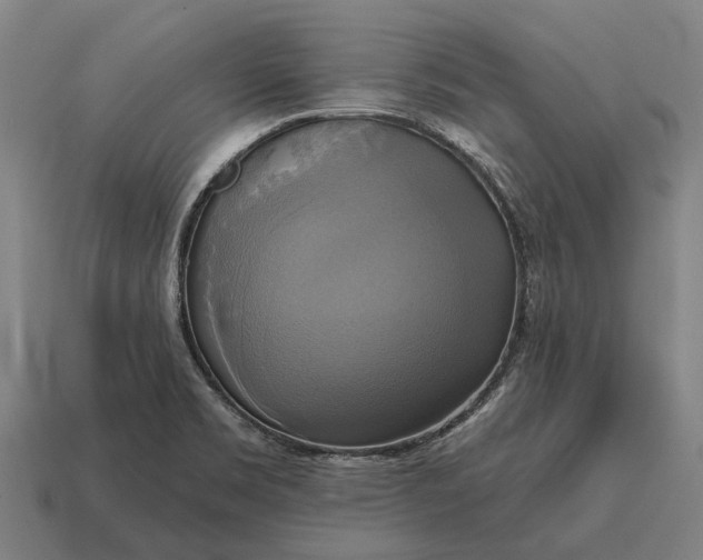 X0000115091469200911101513