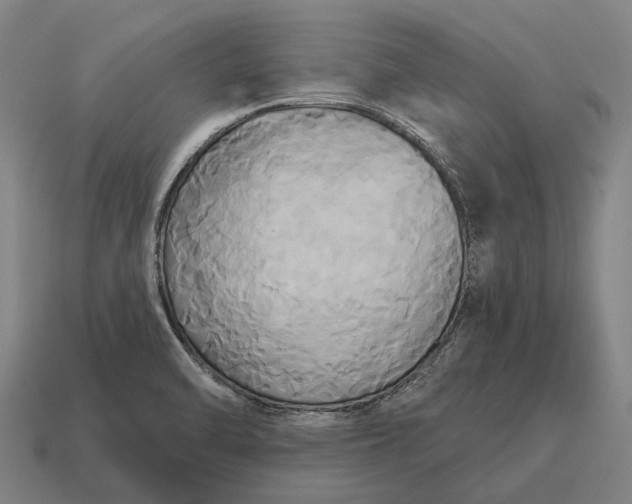 X0000115091470200911101513