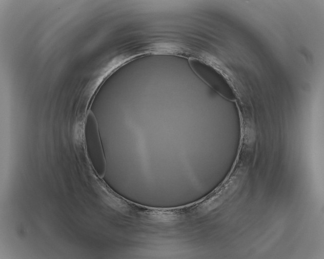 X0000115091473200911101513