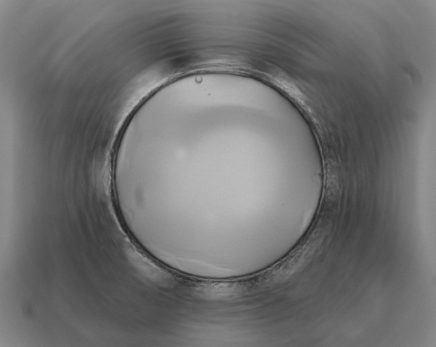 X0000115091474200911101513