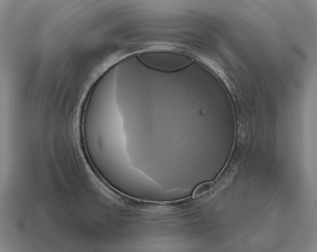 X0000115091475200911101513