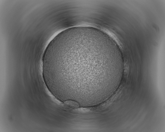 X0000115091476200911101513