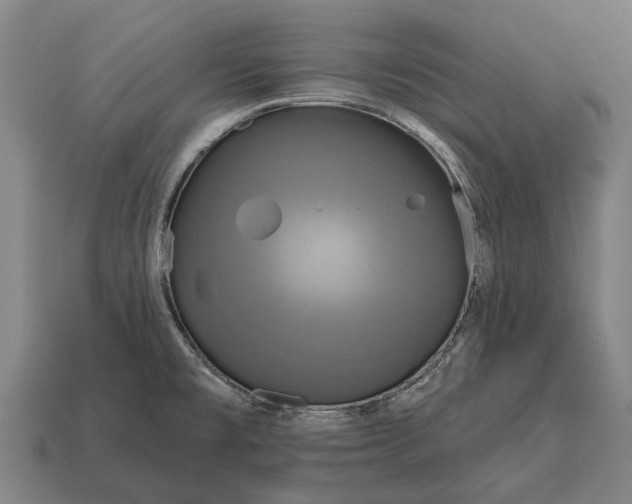 X0000115091477200911101513