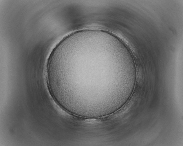 X0000115091478200911101513