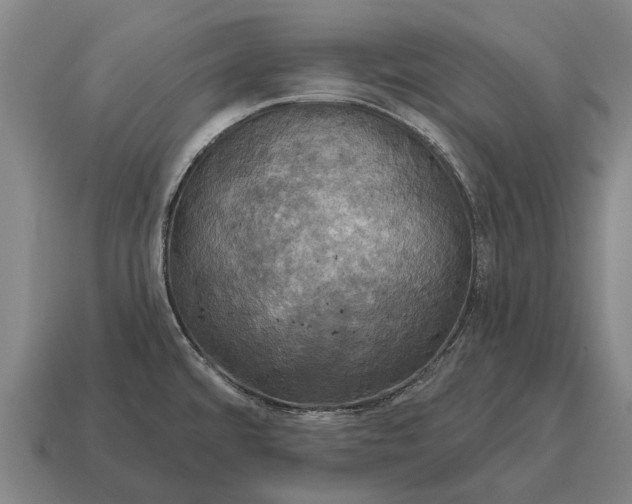 X0000115091480200911101513