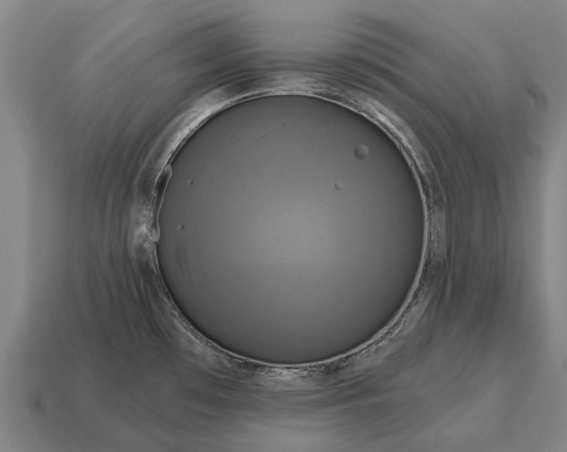 X0000115091481200911101513