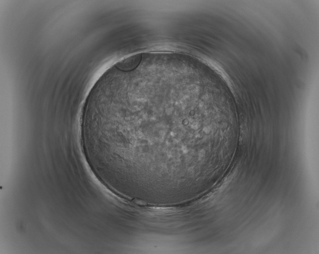 X0000115091483200911101513