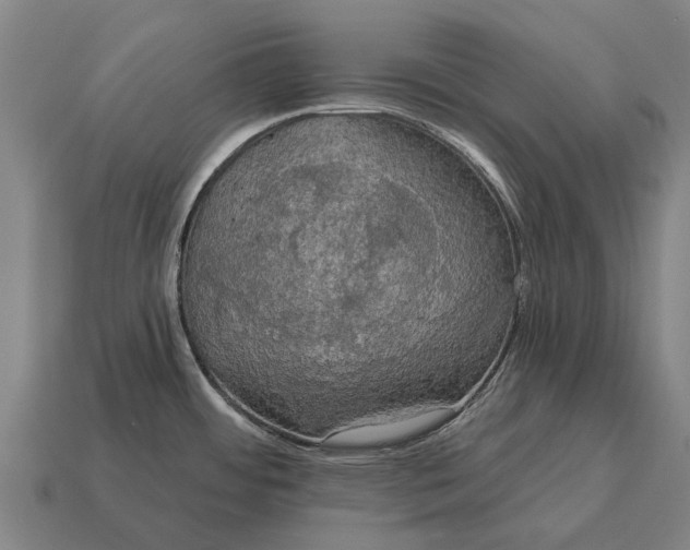 X0000115091484200911101513
