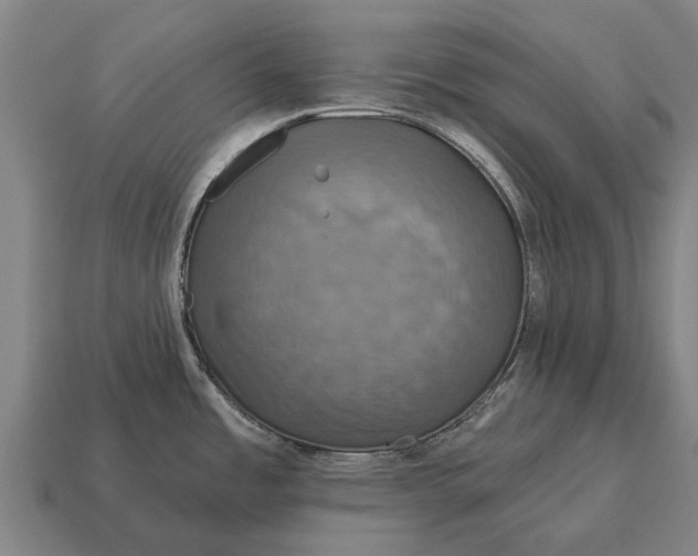 X0000115091485200911101513