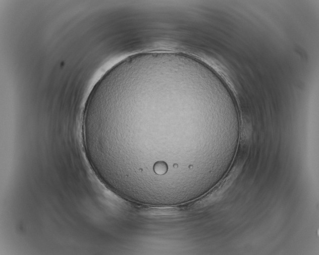 X0000115091486200911101513