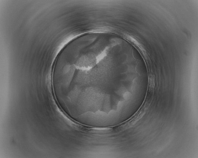 X0000115091487200911101513