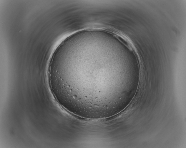 X0000115091488200911101513
