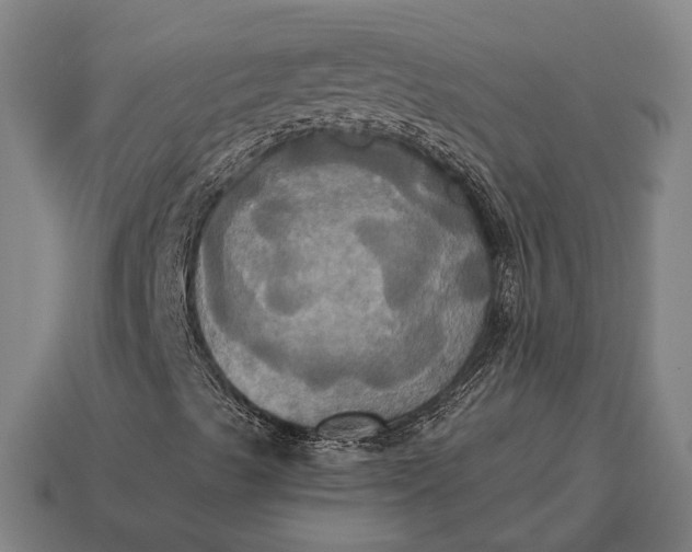 X0000115091489200911101512