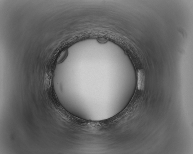 X0000115091491200911101512