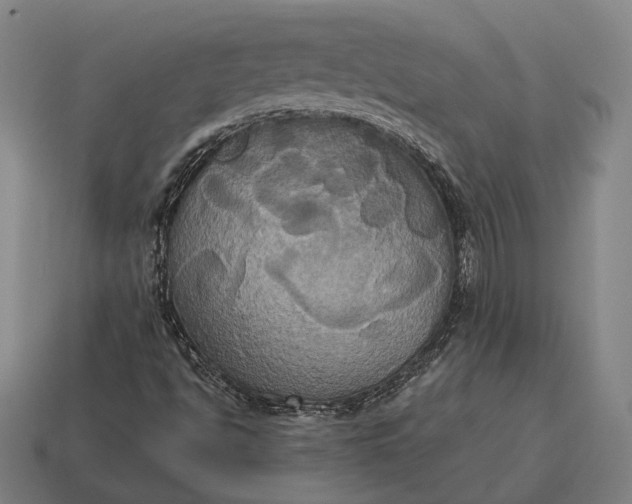 X0000115091494200911101512
