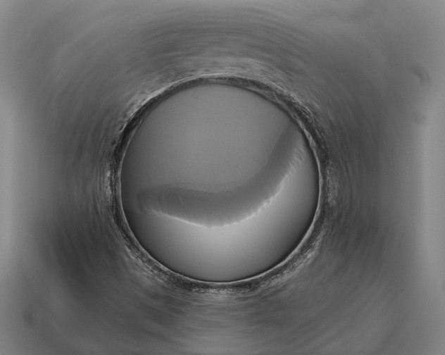 X0000115091497200911101512