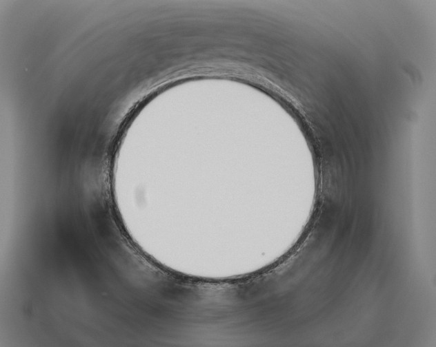 X0000115091498200911101513