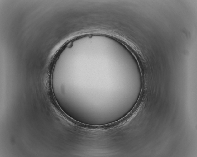 X0000115091502200911101513