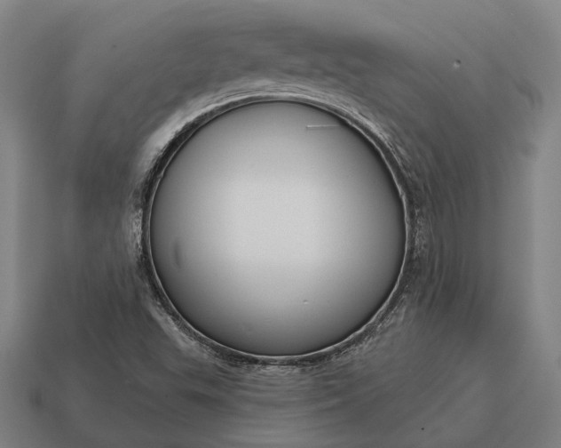 X0000115091503200911101513
