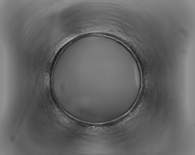 X0000115091505200911101513