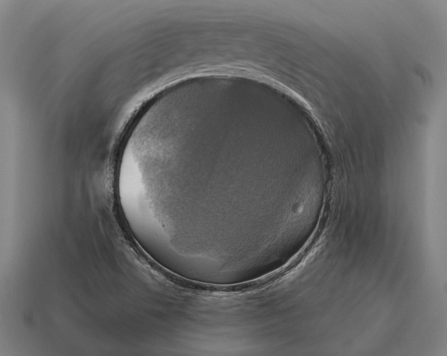 X0000115091506200911101513