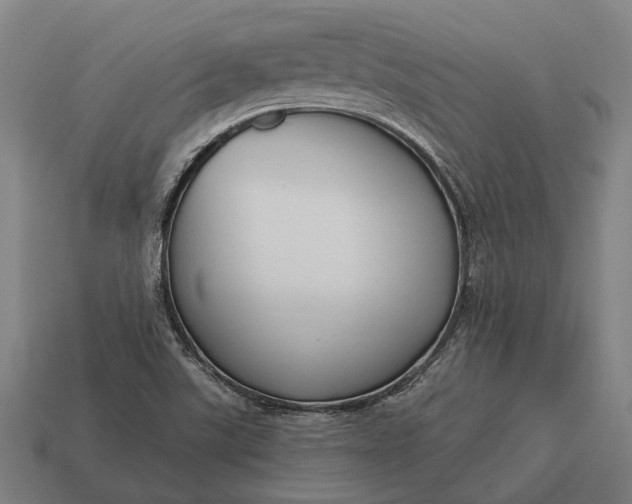 X0000115091507200911101513