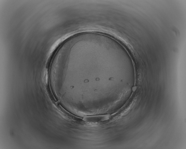 X0000115091509200911101513